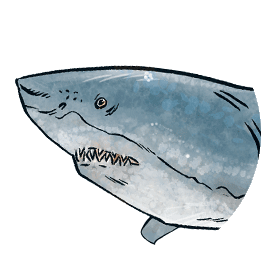 requin reference