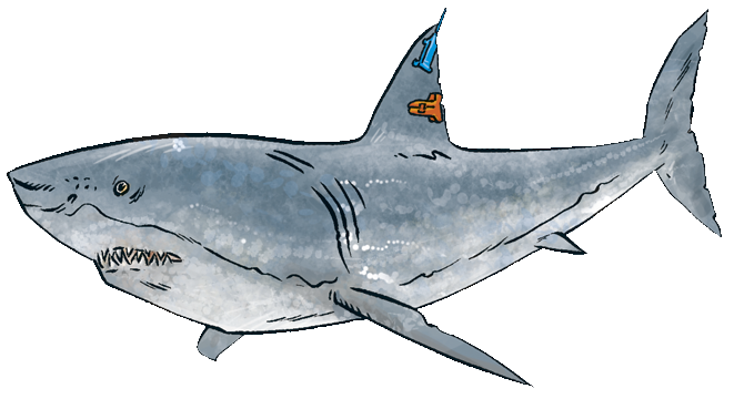 requin colorisé dans Photoshop, dessin de jean-paul aussel. www.encre2moi.com