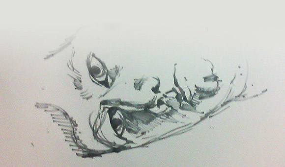 image atelier illustration