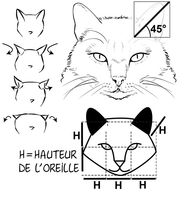 Comment apprendre à dessiner en 21 jours