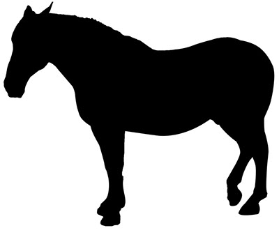cheval en silhouette
