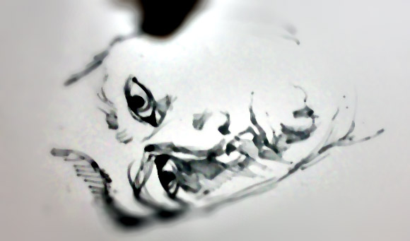 exemple dessin atelier illustration